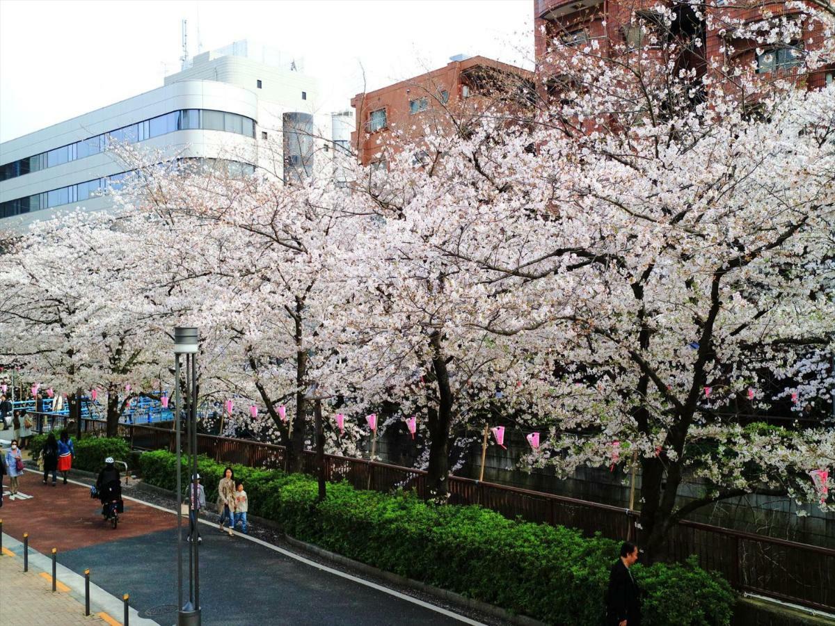 Appartamento Coto Tokyo Shibuya 6 Esterno foto